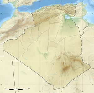 Carte relief Algérie