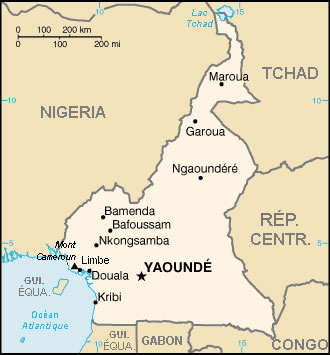 Carte Cameroun vierge noms villes