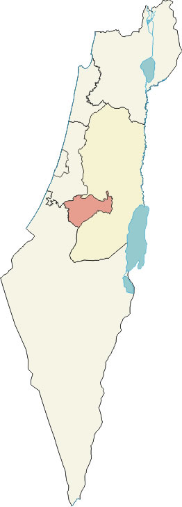 Carte Israël vierge couleur